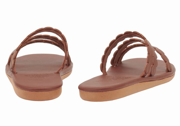 Women Ancient Greek Sandals Oceanis Slide Sandals Coffee | RZW5093EE