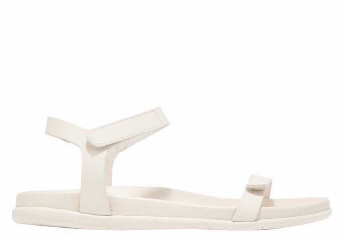 Women Ancient Greek Sandals Poros Back-Strap Sandals White | KBE7112RS