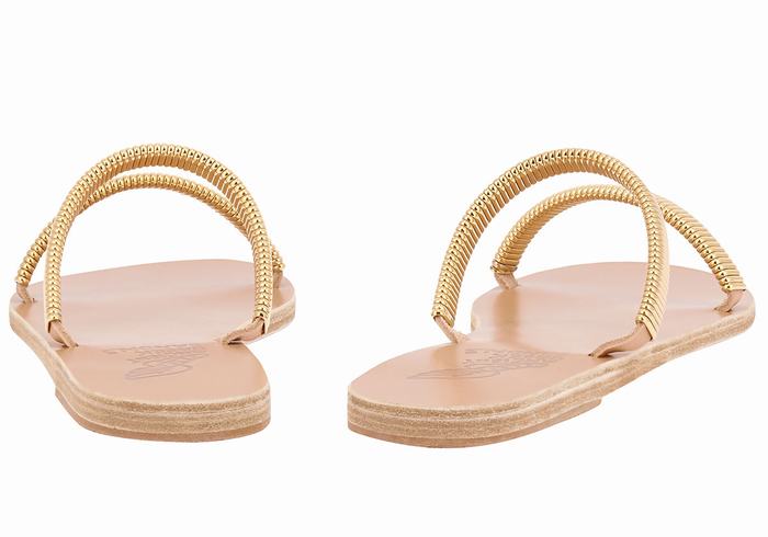 Women Ancient Greek Sandals Saita Slide Sandals Gold Beige | AYK901UC