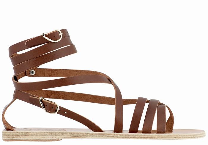 Women Ancient Greek Sandals Satira Leather Gladiator Sandals Dark Brown | HCA5993YP