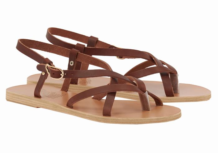 Women Ancient Greek Sandals Semele Leather Back-Strap Sandals Coffee | MKX4952NV