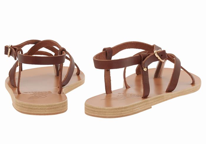 Women Ancient Greek Sandals Semele Leather Back-Strap Sandals Coffee | MKX4952NV