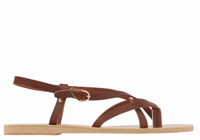 Women Ancient Greek Sandals Semele Leather Back-Strap Sandals Coffee | MKX4952NV