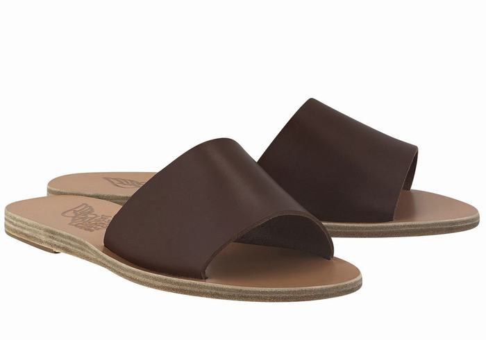 Women Ancient Greek Sandals Taygete Slide Sandals Coffee | OFE639VN