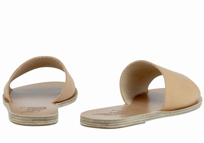 Women Ancient Greek Sandals Taygete Slide Sandals Beige | RKO3363RE