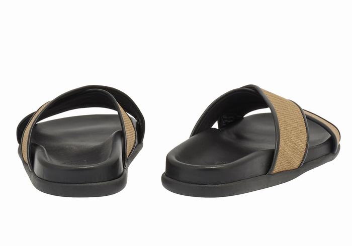 Women Ancient Greek Sandals Thais Footbed Slide Sandals Brown Black | CPC3194EL