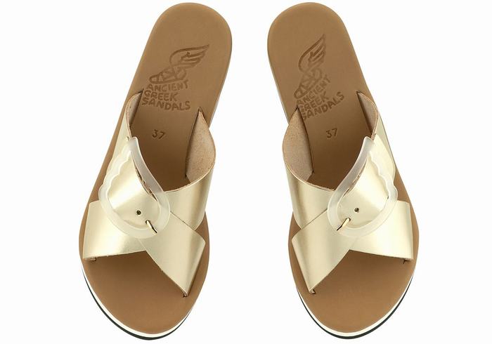 Women Ancient Greek Sandals Thais Rainbow Wedge Sandals Gold White | XEL5250FD