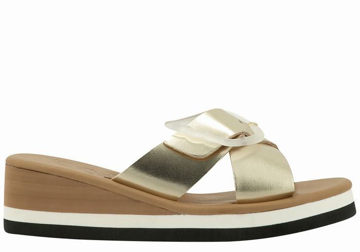 Women Ancient Greek Sandals Thais Rainbow Wedge Sandals Gold White | XEL5250FD