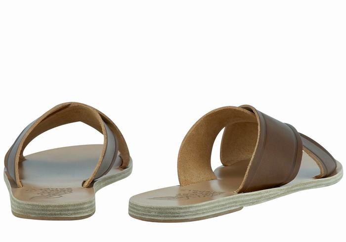 Women Ancient Greek Sandals Thais Slide Sandals Dark Brown | ERL873JO