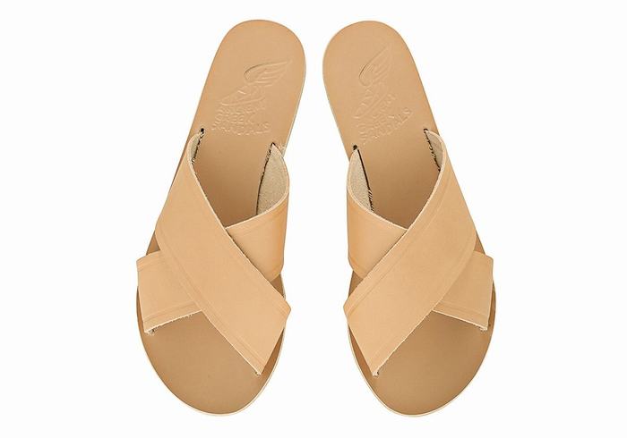 Women Ancient Greek Sandals Thais Slide Sandals Beige | ZDN1491DA