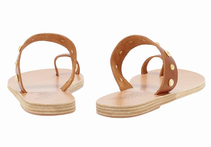 Women Ancient Greek Sandals Thalia Bee Toe-Post Sandals Dark Brown | FPE10019TL