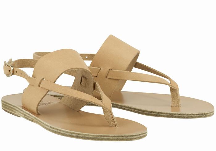 Women Ancient Greek Sandals Zoe Flip Flop Leather Back-Strap Sandals Beige | TGF712CI