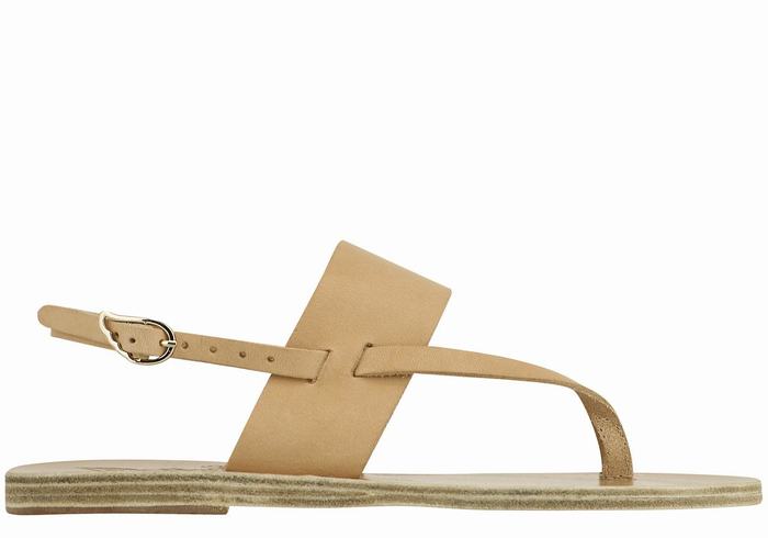 Women Ancient Greek Sandals Zoe Flip Flop Leather Back-Strap Sandals Beige | TGF712CI